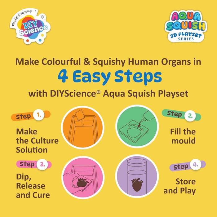 Diy Science Human Organs Squish Kit-Novelty Toys-Diy Science-Toycra