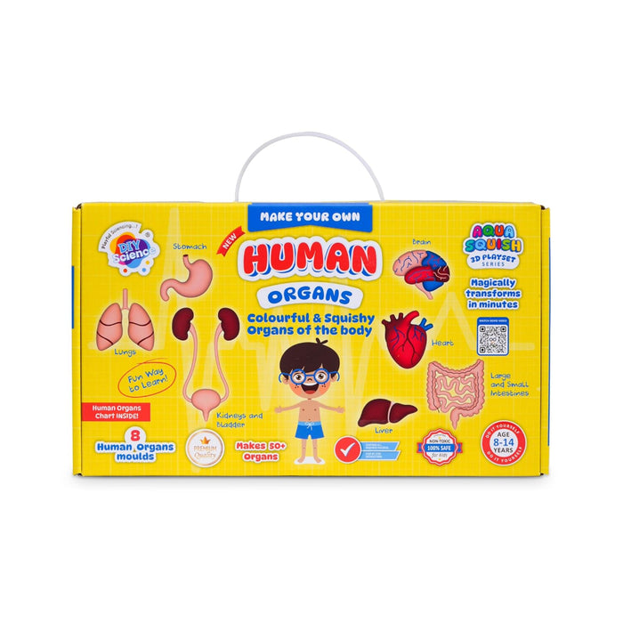 Diy Science Human Organs Squish Kit-Novelty Toys-Diy Science-Toycra