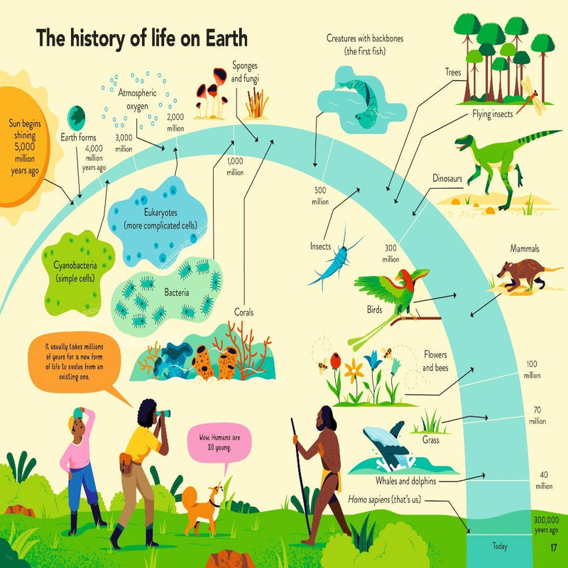 Ecology For Beginners
