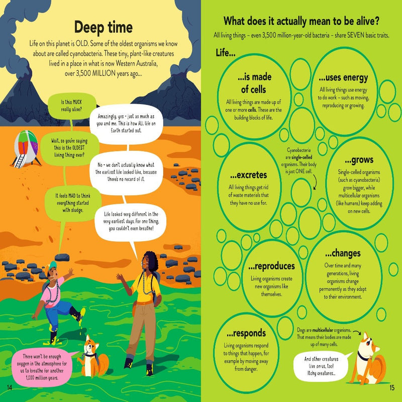 Ecology For Beginners