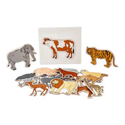 Eduedge Magnetic Toy