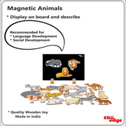 Eduedge Magnetic Toy