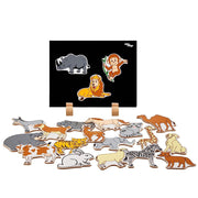 Eduedge Magnetic Toy