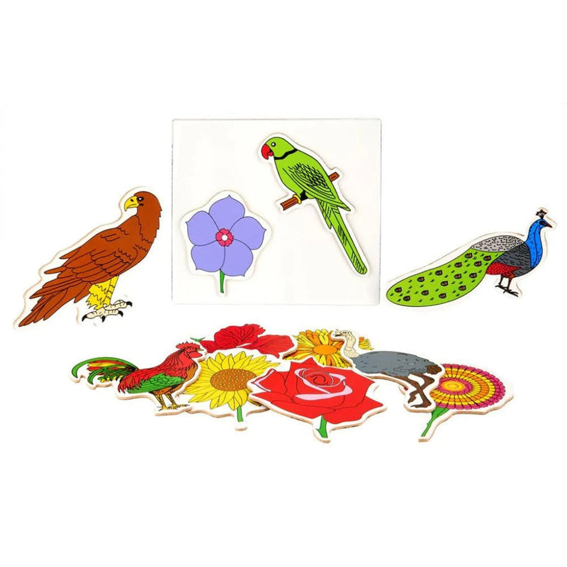 Eduedge Magnetic Toy