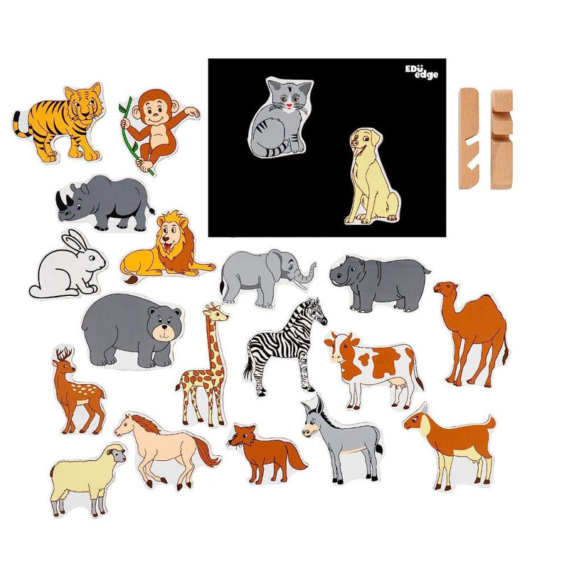 Eduedge Magnetic Toy