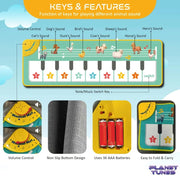 Electrobotic 3 In 1 Rock N Roll Piano Mat