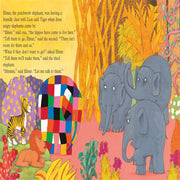 Elmer Picture Books