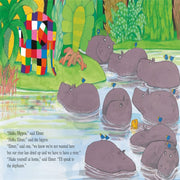 Elmer Picture Books