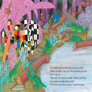 Elmer Picture Books