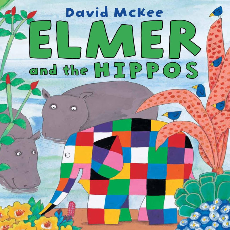 Elmer Picture Books