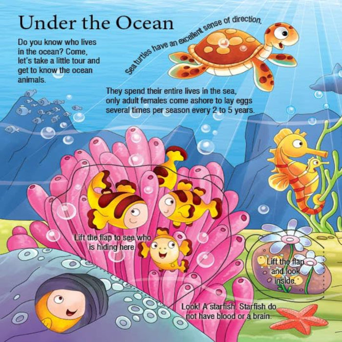 Explore Inside Lift-the-Flap Books-Encyclopedia-Booktopus-Toycra