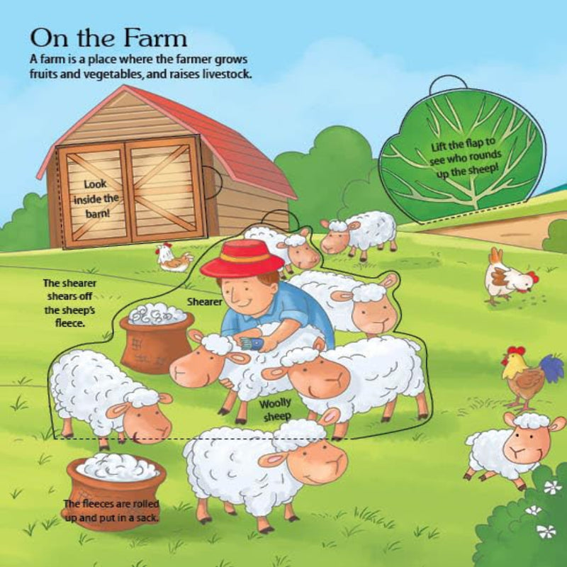 Explore Inside Lift-the-Flap Books