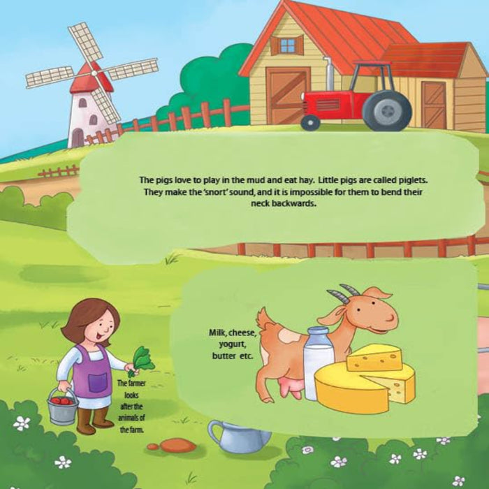 Explore Inside Lift-the-Flap Books-Encyclopedia-Booktopus-Toycra