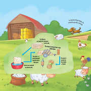 Explore Inside Lift-the-Flap Books