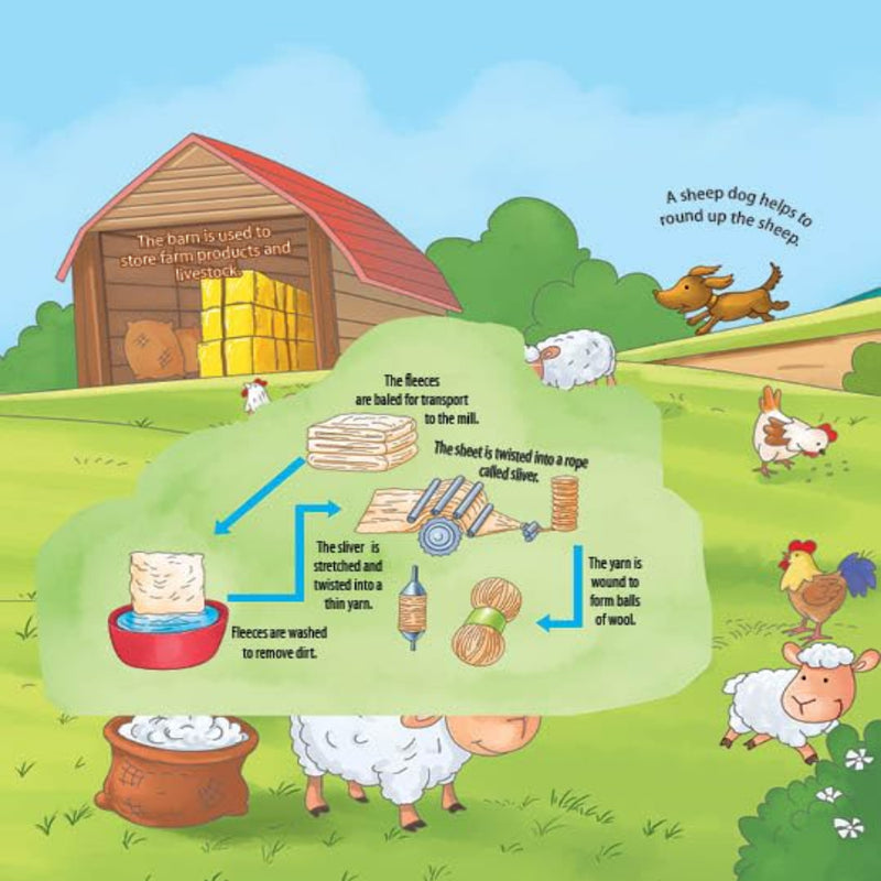Explore Inside Lift-the-Flap Books