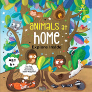 Explore Inside Lift-the-Flap Books