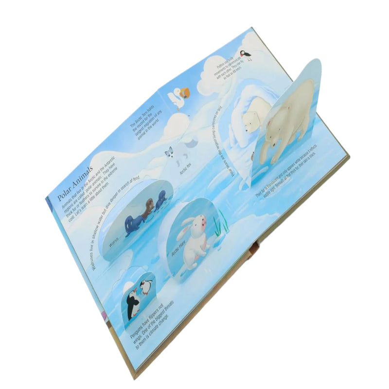 Explore Inside Lift-the-Flap Books