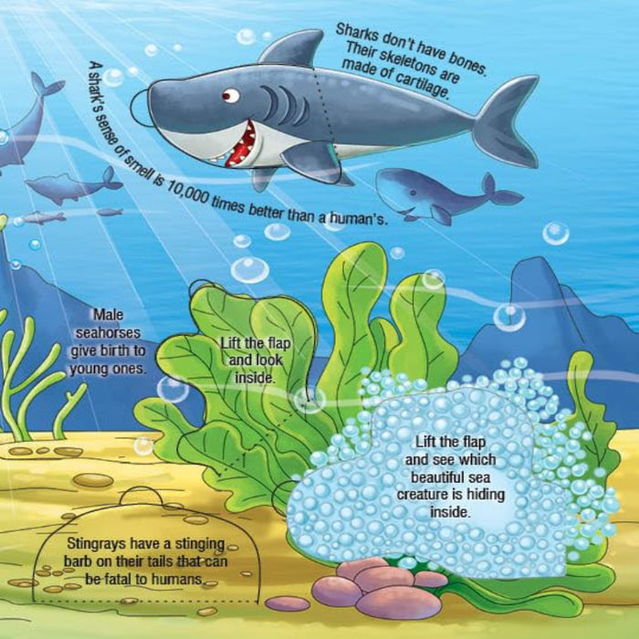 Explore Inside Lift-the-Flap Books-Encyclopedia-Booktopus-Toycra