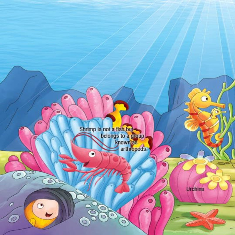 Explore Inside Lift-the-Flap Books