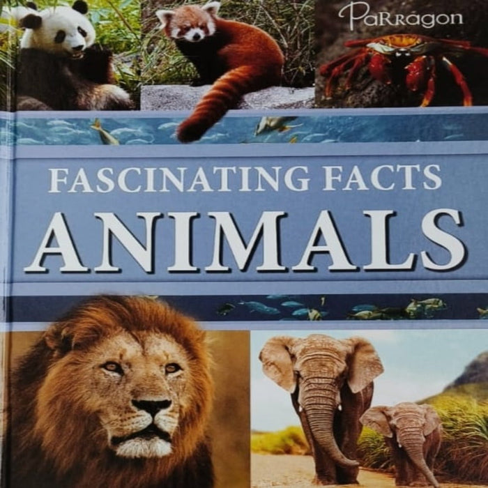 Fascinating Facts Books Toycra fascinating-facts-books-toycra