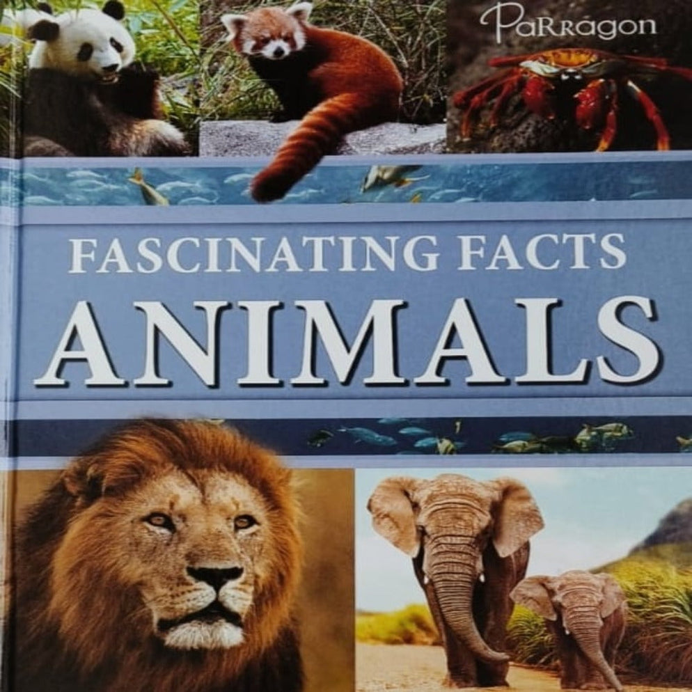 Fascinating Facts Books — Toycra