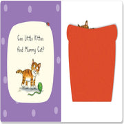 Felt Flaps Books