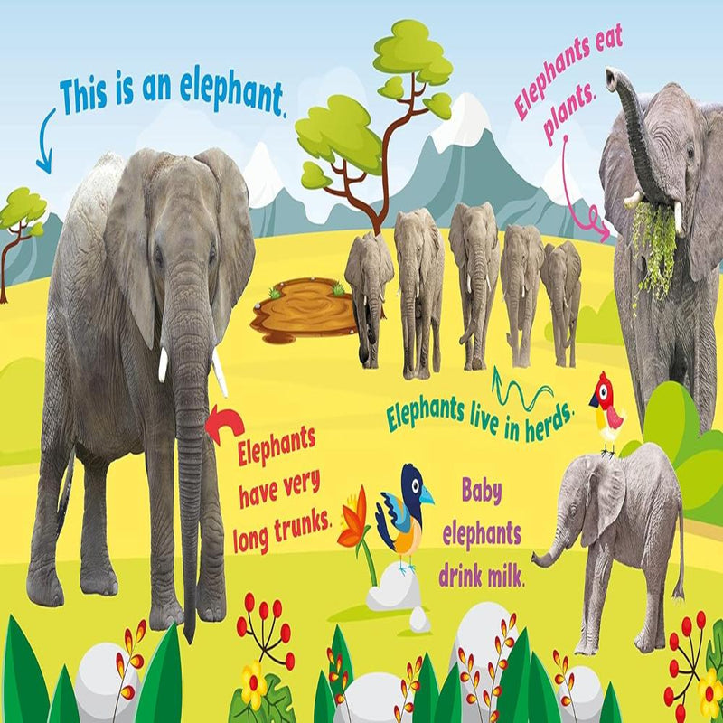 First Animal Facts Sound Book