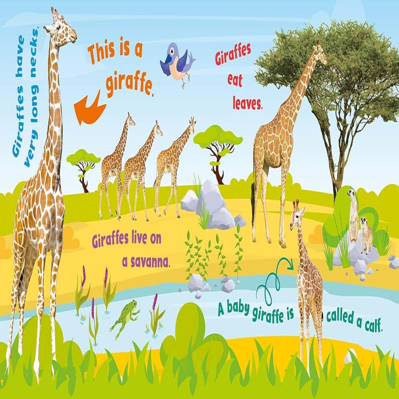 First Animal Facts Sound Book