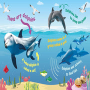First Animal Facts Sound Book
