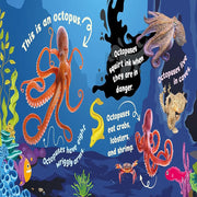 First Animal Facts Sound Book