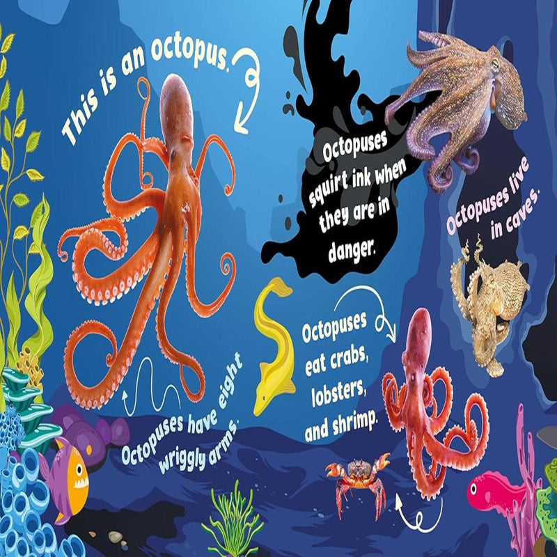 First Animal Facts Sound Book