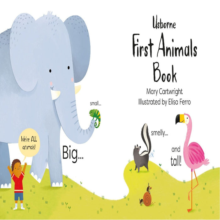 First Animals Book-Picture Book-Usb-Toycra