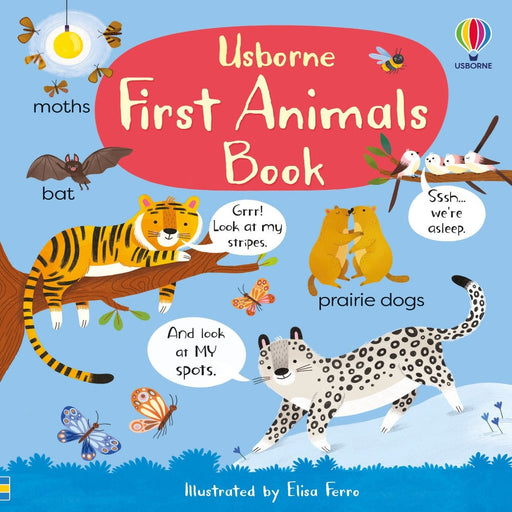 First Animals Book-Picture Book-Usb-Toycra