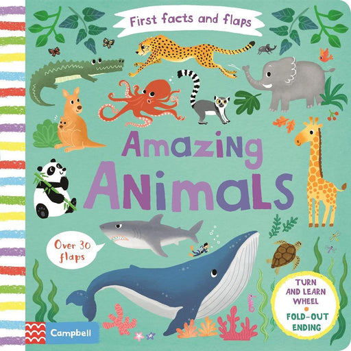First Facts And Flaps Amazing Animals