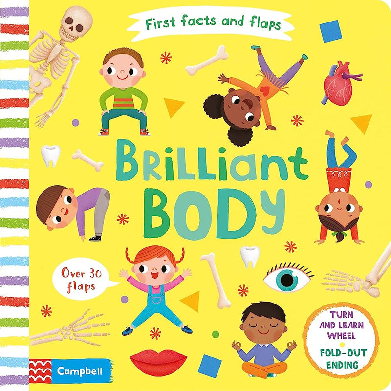 First Facts And Flaps