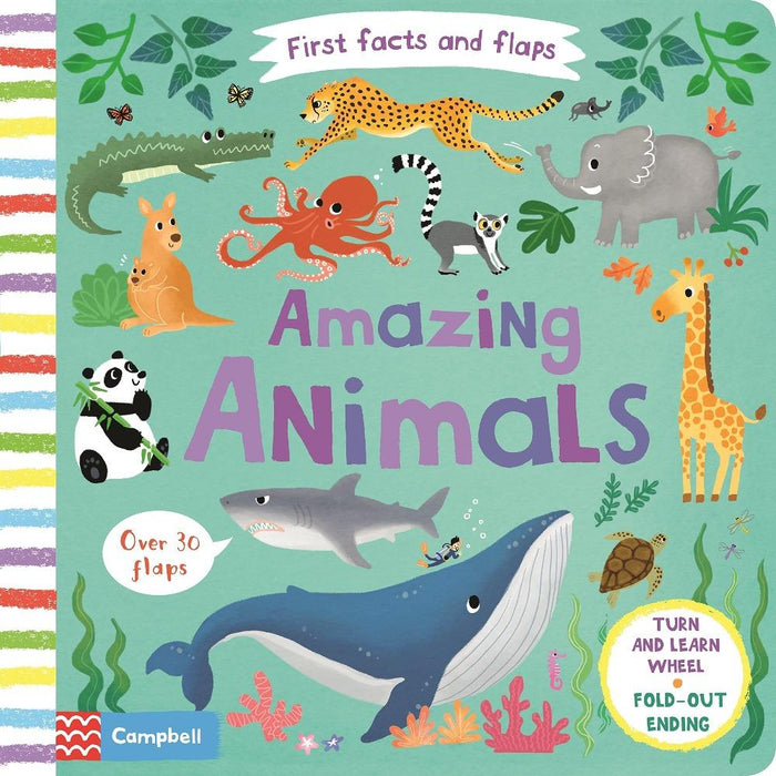 First Facts and Flaps Amazing Animals-Encyclopedia-Pan-Toycra