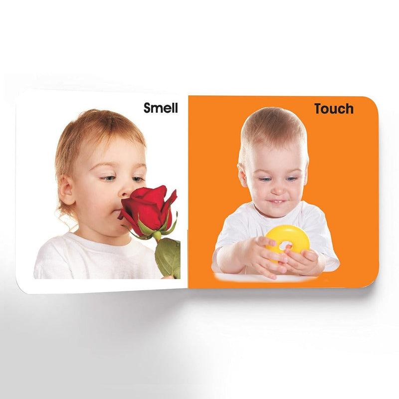 First Padded Board Book (A Set Of 10 Books)