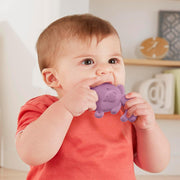 Fisher-Price Newborn Baby Toy Teether