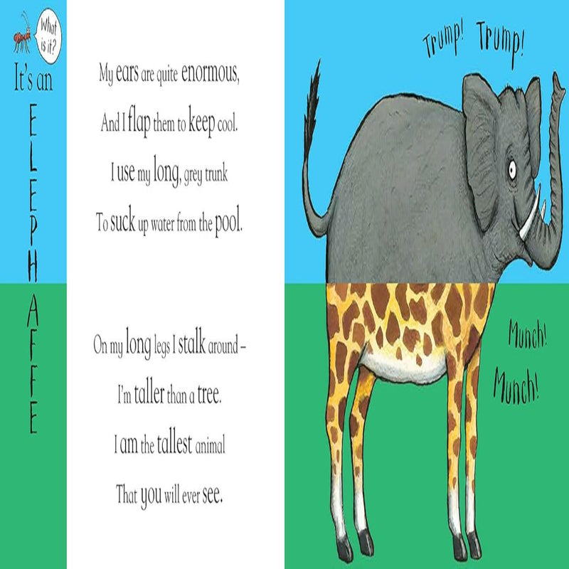 Flip Flap Books