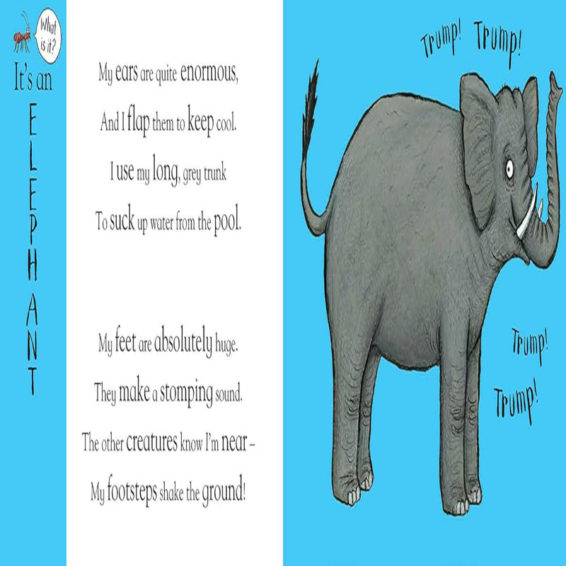 Flip Flap Books