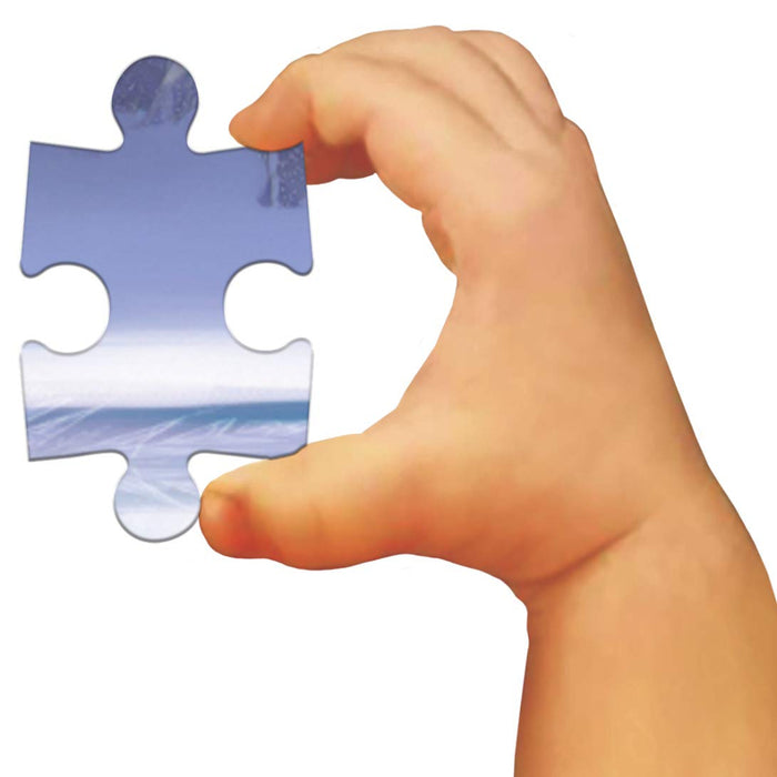 Frank Disney Frozen Puzzle Pack Set Of 3 Puzzles (60 Pieces)-Puzzles-Frank-Toycra