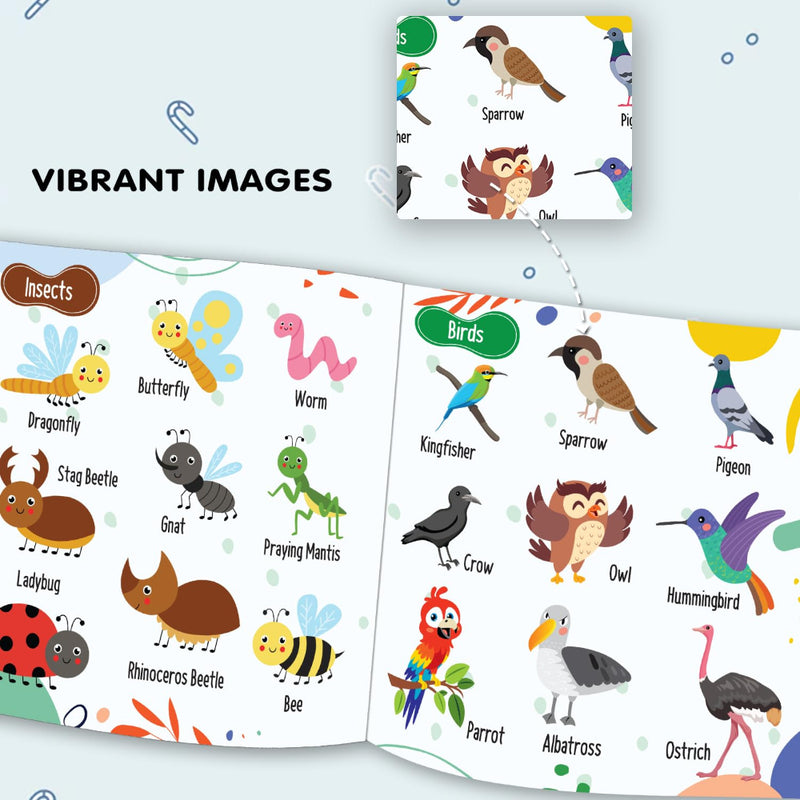 Fun Learning! My First Books
