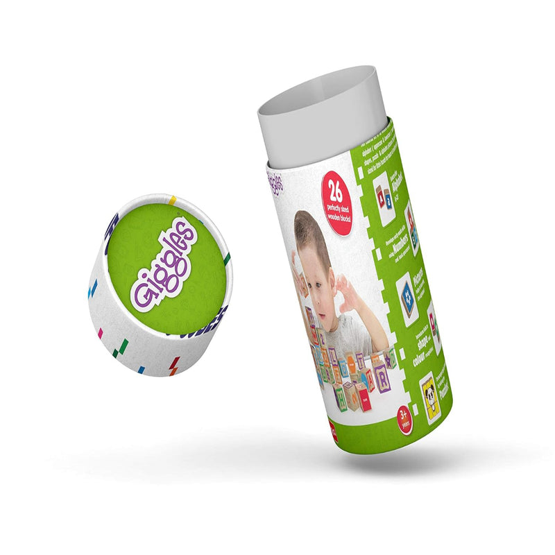 Giggles Funskool Info Cubes-Learning & Education-Funskool-Toycra