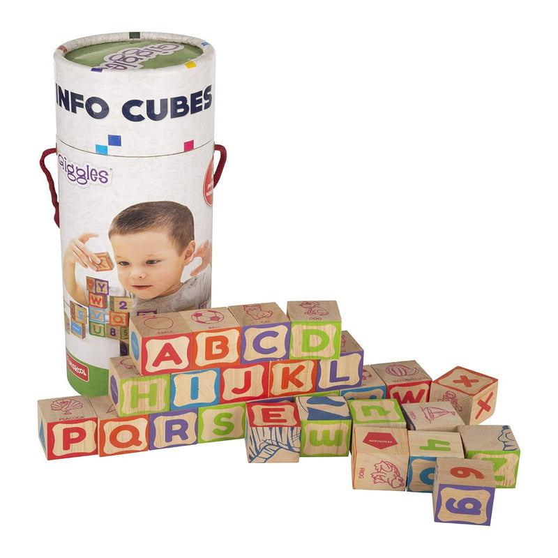 Giggles Funskool Info Cubes-Learning & Education-Funskool-Toycra