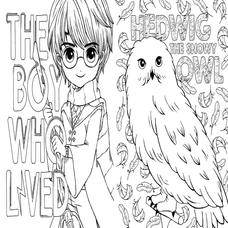 Harry Potter Magical Art Colouring Book