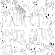 Harry Potter Magical Art Colouring Book