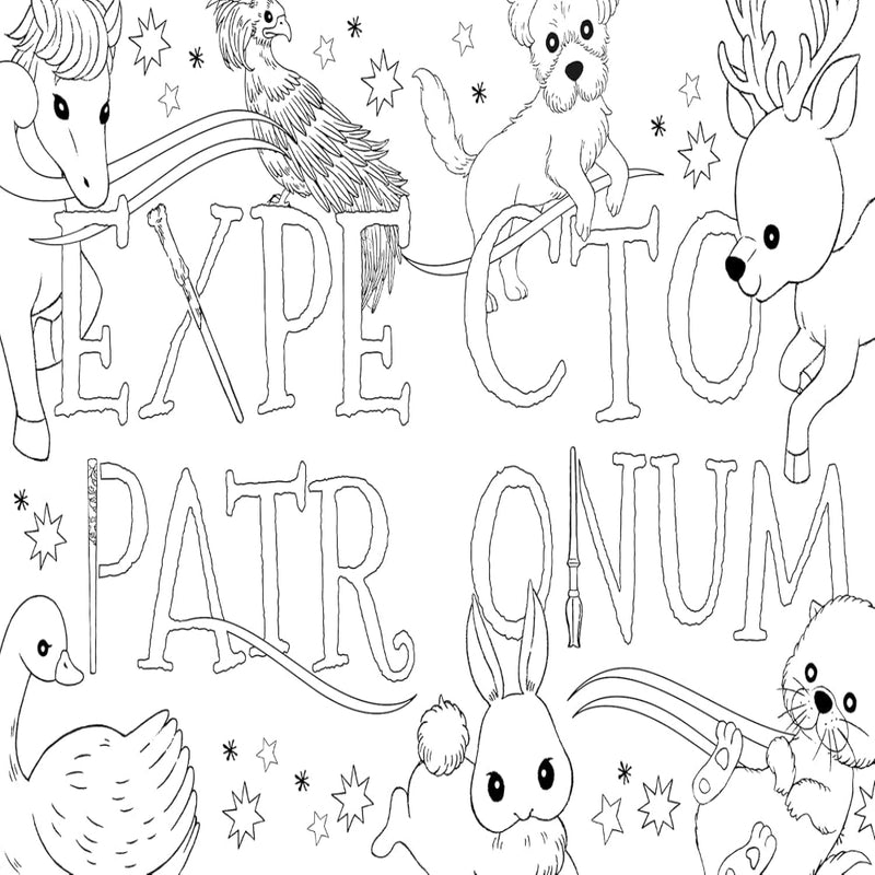Harry Potter Magical Art Colouring Book