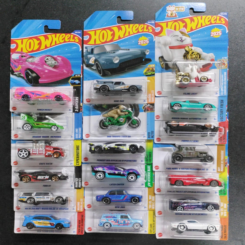 Hot Wheels 2025 N Case Set of 19 Cars