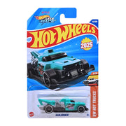 Hot Wheels 2025 Set of 21 Cars (JD)