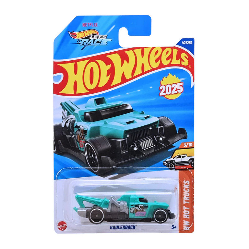 Hot Wheels 2025 Set of 21 Cars (JD)